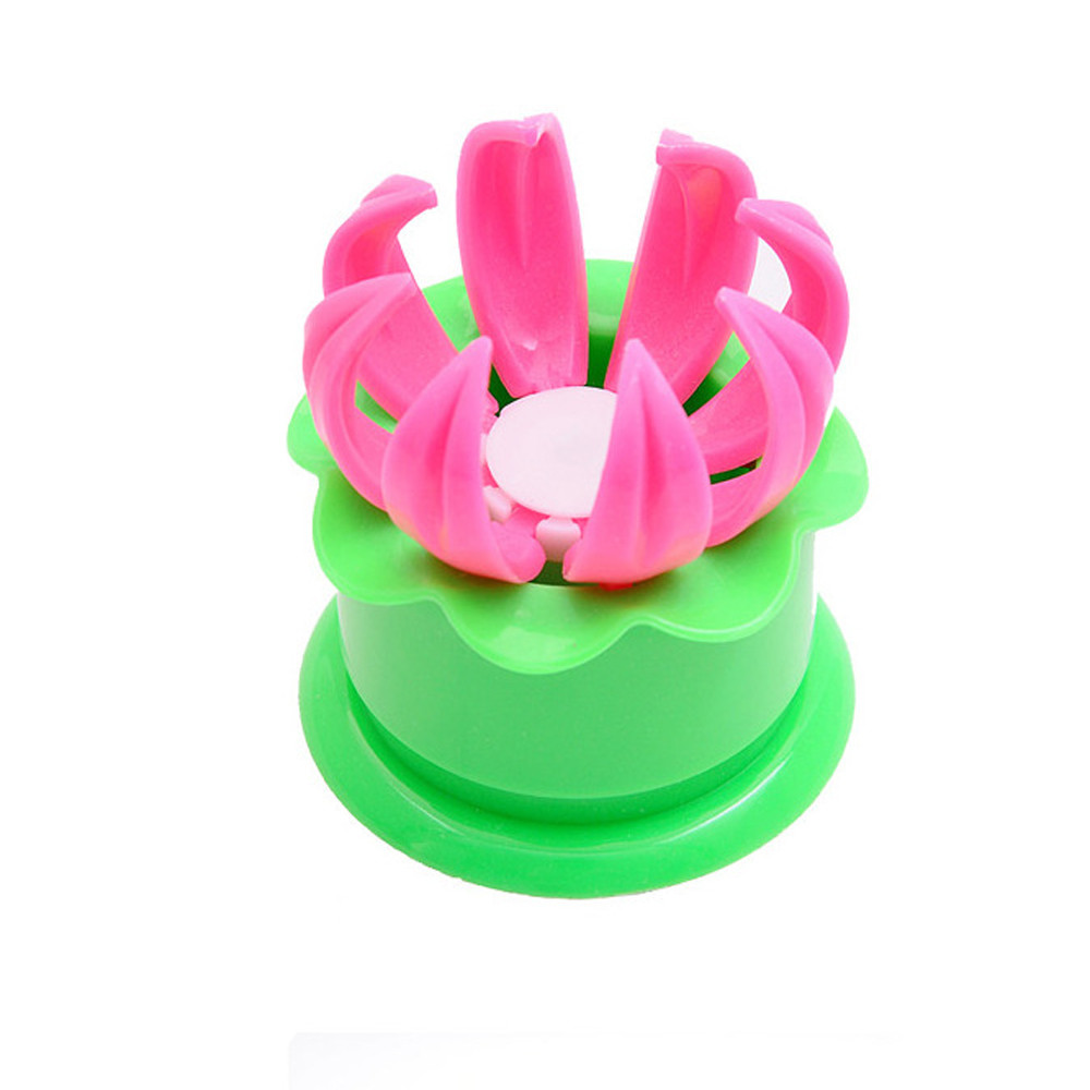 Bun Making Mould DIY Ravioli P - Kitchen Baking Blender ulasan dan harga